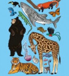 TANTI TANTISSIMI ANIMALI